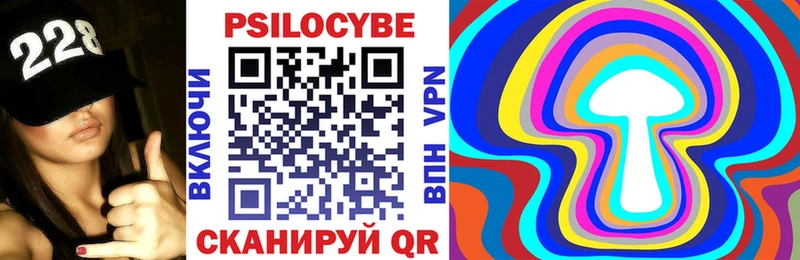 Псилоцибиновые грибы Psilocybine cubensis  Купить закладки  Избербаш 